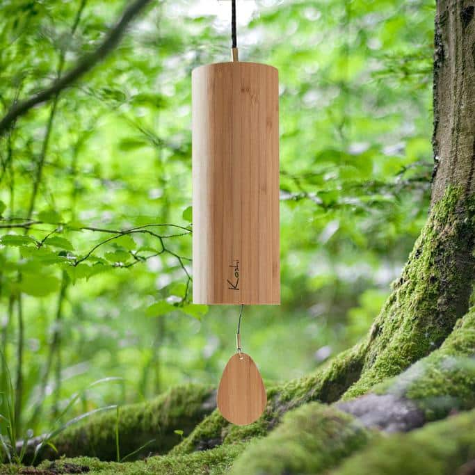 Magasin bio produits naturels 1 - Concarneau